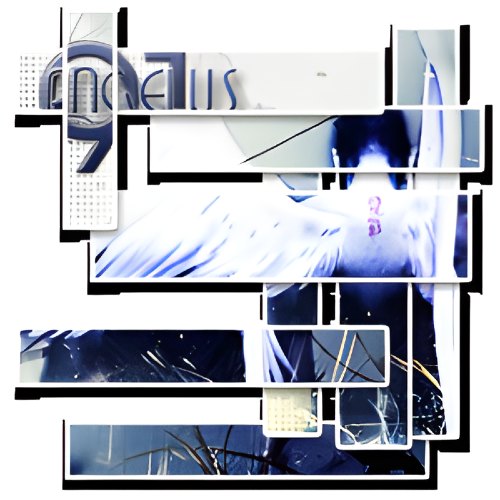 angelus91 avatar